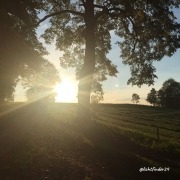 Stille finden in dir