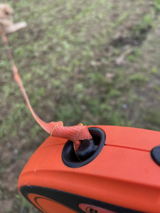 Wenn nichts mehr weitergeht - ein Knoten in der Leine 1 Steckenbleiben im Leben